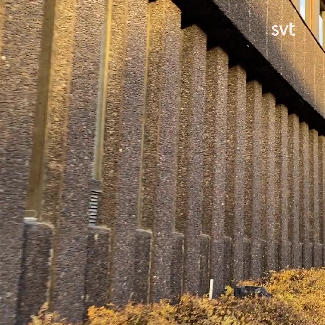 Känd sexbrottsling erkände nya brott – skickades hem: ”Jag tycker allmänheten ska få veta hur polisen jobbar”